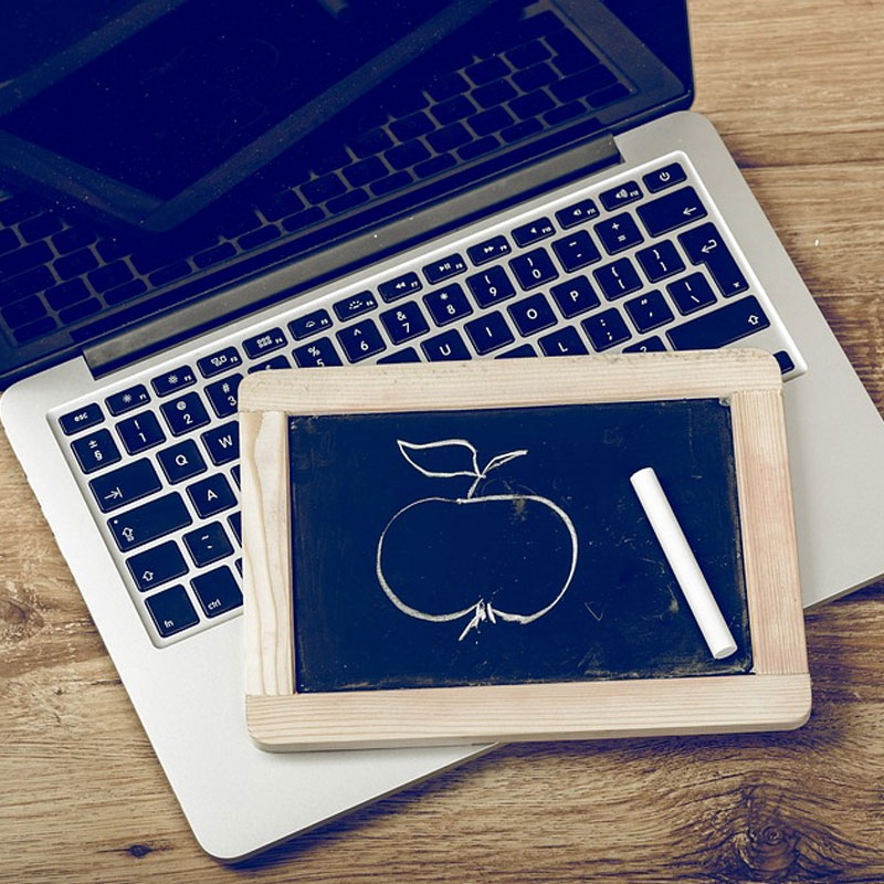 Premium Quality – Bild 2