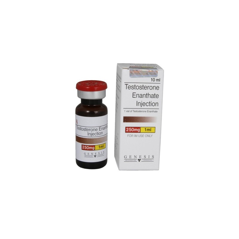 Testosterone Enanthate 250mg/ml 10 ml Injektionslösung